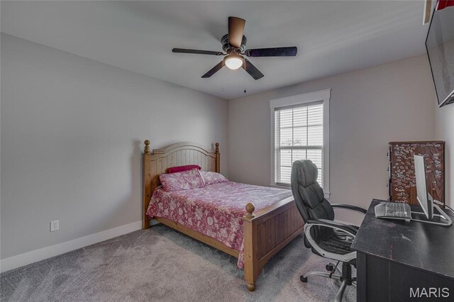 18024 Heritage Dr, Farmington, MO 63640 - photo 23