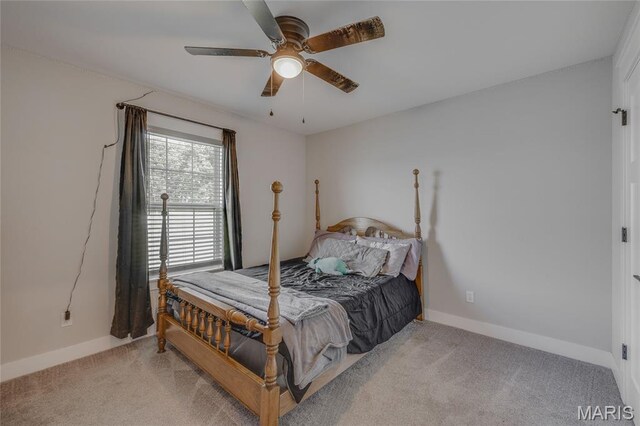 18024 Heritage Dr, Farmington, MO 63640 - photo 25