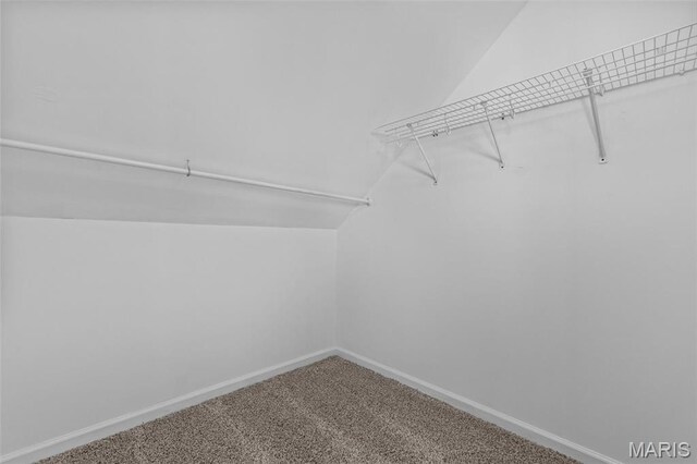 2438 Creve Coeur Mill Rd, Maryland Heights, MO 63043 - photo 26