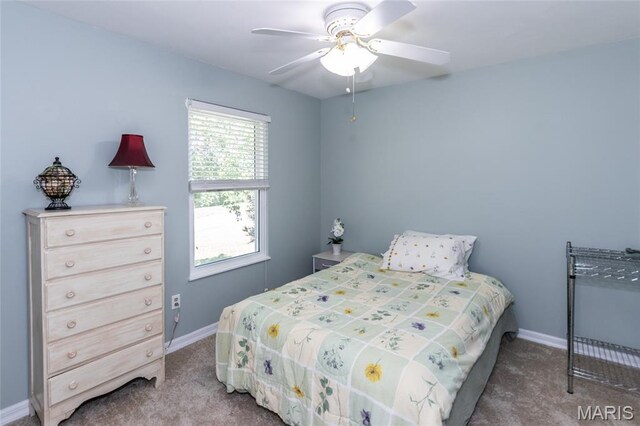 1915 Fox Pointe Dr, Arnold, MO 63010 - photo 17