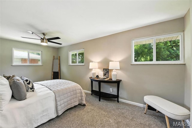 1113 Walker Ave, Saint Louis, MO 63138 - photo 6