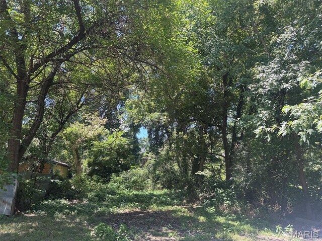 803 Henderson Ave, Poplar Bluff, MO 63901 - photo 8