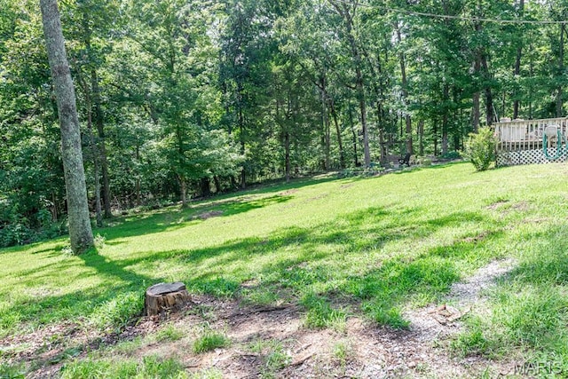 292 Quail Trl, Uniontown, MO 63783 - photo 20