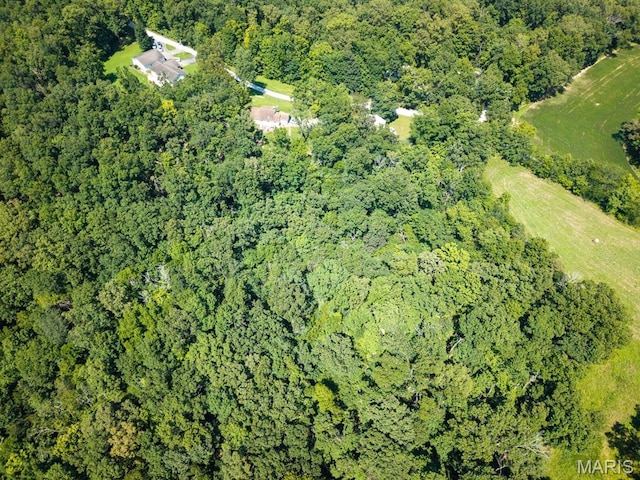 292 Quail Trl, Uniontown, MO 63783 - photo 43