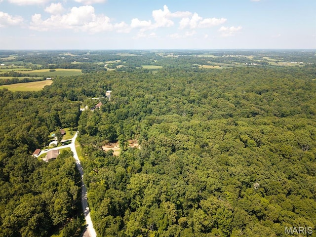 292 Quail Trl, Uniontown, MO 63783 - photo 46