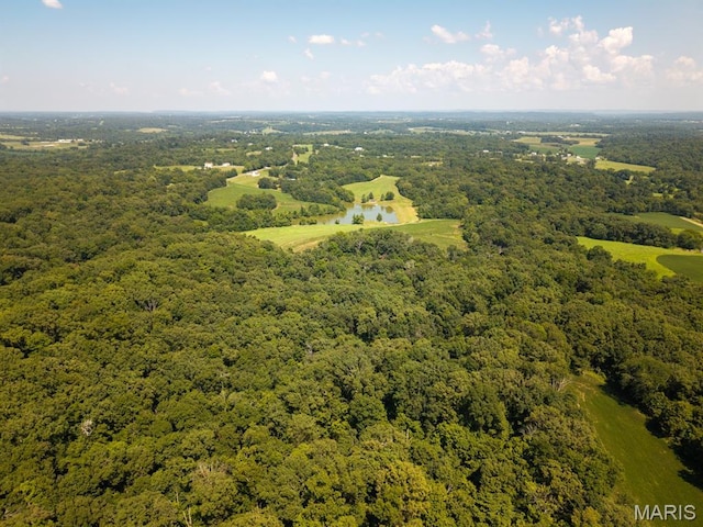292 Quail Trl, Uniontown, MO 63783 - photo 47