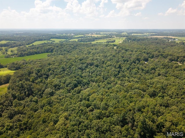 292 Quail Trl, Uniontown, MO 63783 - photo 50
