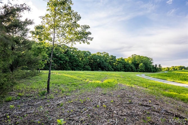 00 Tickridge Rd, Silex, MO 63377 - photo 2