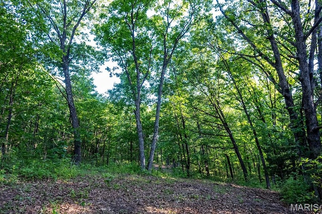 00 Tickridge Rd, Silex, MO 63377 - photo 7