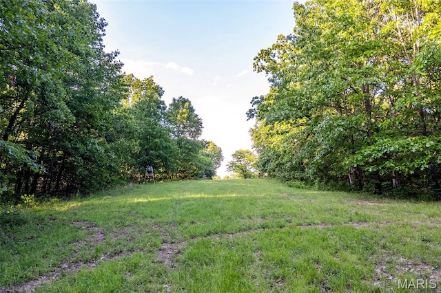 00 Tickridge Rd, Silex, MO 63377 - photo 13
