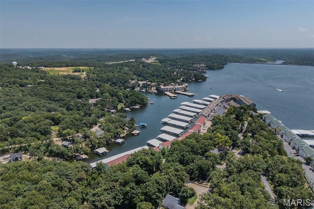 40 Lighthouse Rd Unit 3-304, Lake Ozark, MO 63367 - photo 51