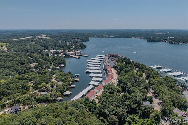 40 Lighthouse Rd Unit 3-304, Lake Ozark, MO 63367 - photo 52