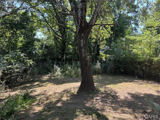 2022 Sanders Ave, Poplar Bluff, MO 63901 - photo 18