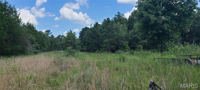 0 Austin Rd, Bonne Terre, MO 63628 - photo 3