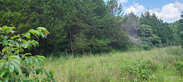 0 Austin Rd, Bonne Terre, MO 63628 - photo 5