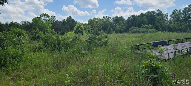 0 Austin Rd, Bonne Terre, MO 63628 - photo 6