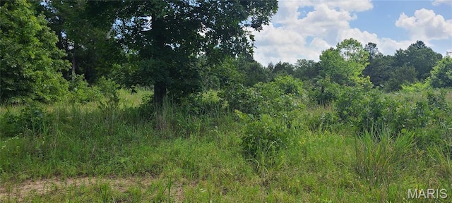 0 Austin Rd, Bonne Terre, MO 63628 - photo 7