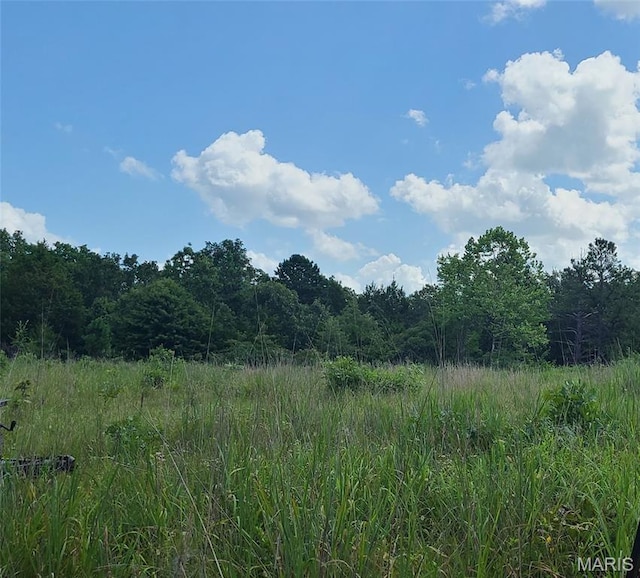 0 Austin Rd, Bonne Terre, MO 63628 - photo 9