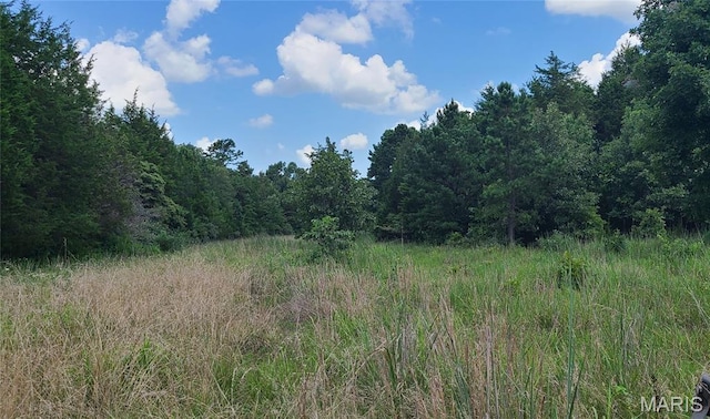 0 Austin Rd, Bonne Terre, MO 63628 - photo 10