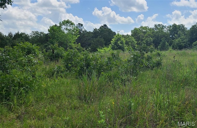 0 Austin Rd, Bonne Terre, MO 63628 - photo 11