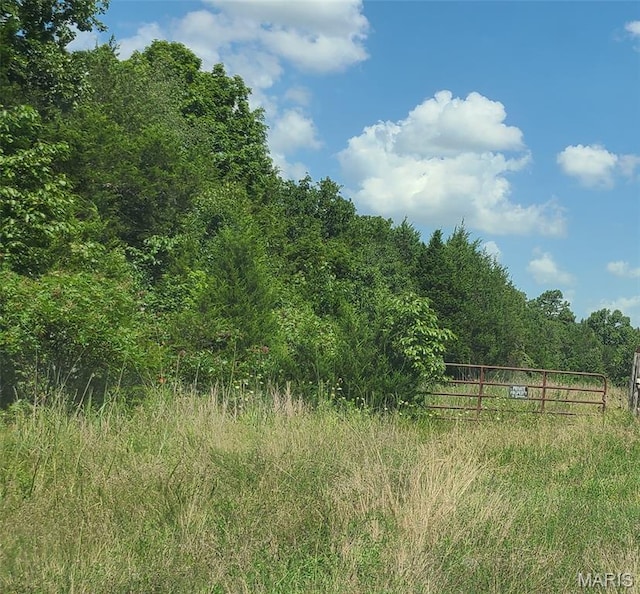 0 Austin Rd, Bonne Terre, MO 63628 - photo 12