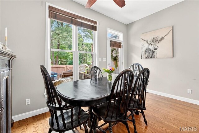 1230 Missouri Ave, Saint Louis, MO 63104 - photo 11