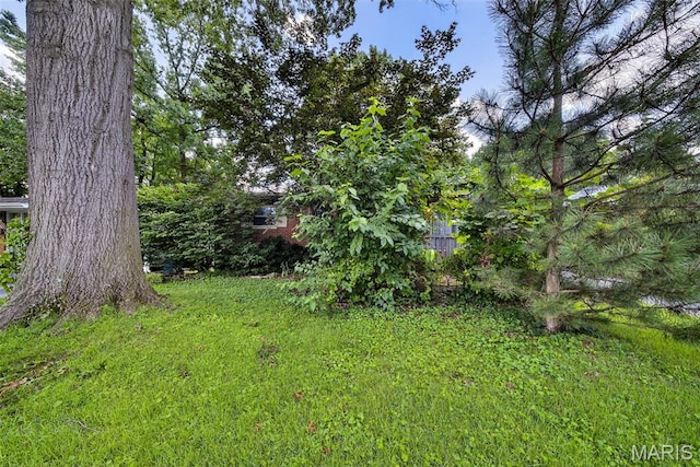 1916 Cornell Ave, Edwardsville, IL 62025 - photo 3
