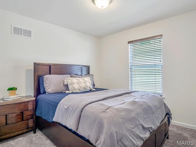 307 Palisades Ct, Saint Charles, MO 63301 - photo 4