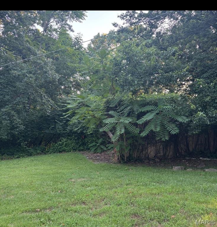 3456 Wedde Rd, Barnhart, MO 63012 - photo 1