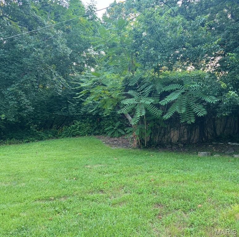 3456 Wedde Rd, Barnhart, MO 63012 - photo 3