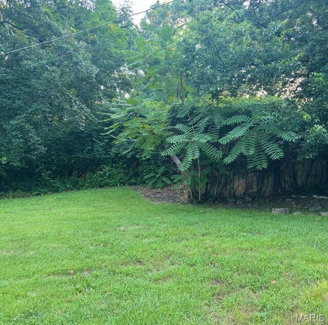 3456 Wedde Rd, Barnhart, MO 63012 - photo 3