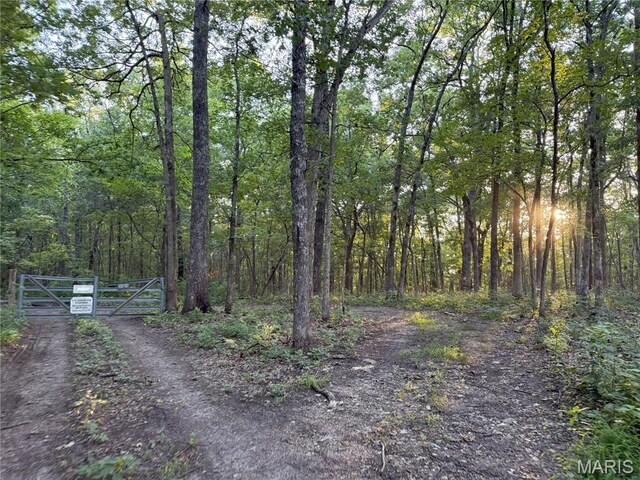Turley Road, Plato, MO 65552 - photo 2