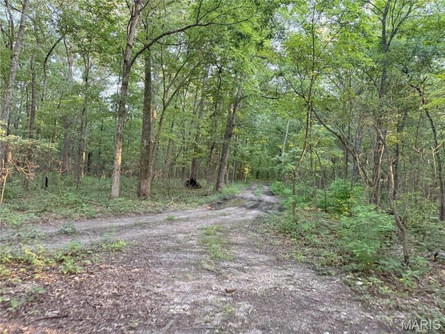 Turley Road, Plato, MO 65552 - photo 3