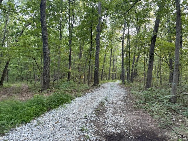 Turley Road, Plato, MO 65552 - photo 4