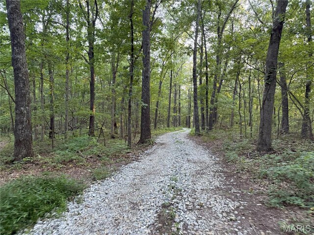 Turley Road, Plato, MO 65552 - photo 5