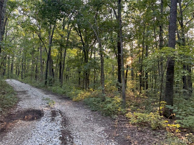 Turley Road, Plato, MO 65552 - photo 6