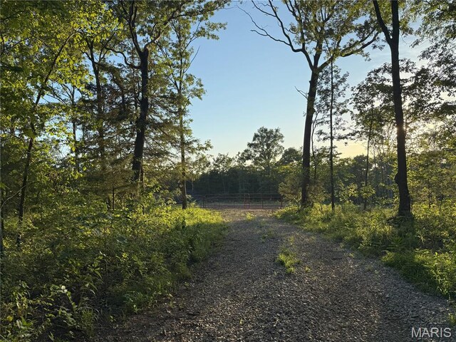 Turley Road, Plato, MO 65552 - photo 7