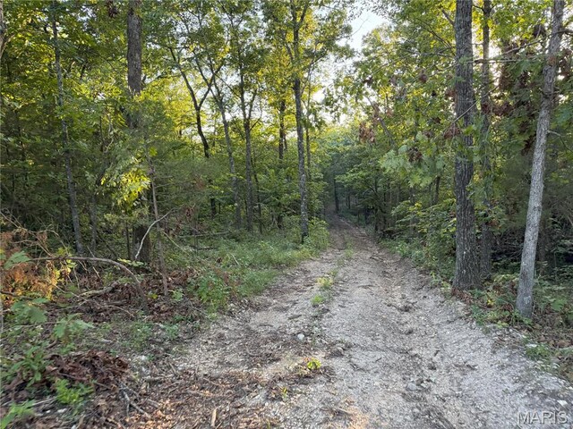 Turley Road, Plato, MO 65552 - photo 8
