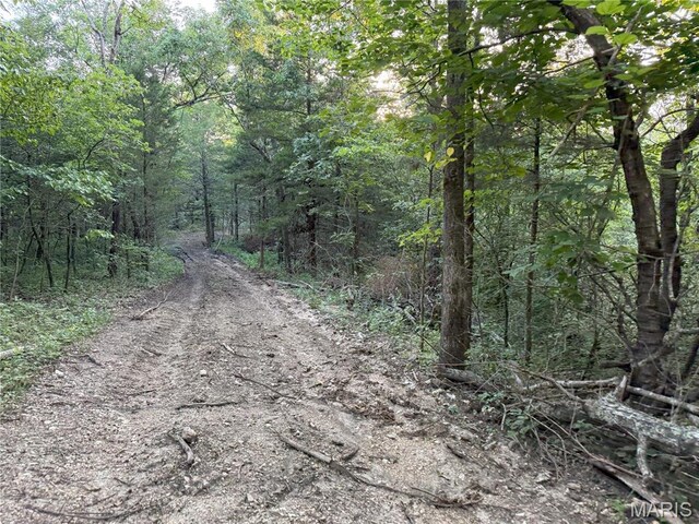 Turley Road, Plato, MO 65552 - photo 9