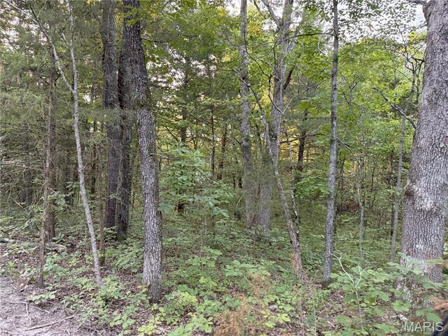 Turley Road, Plato, MO 65552 - photo 10