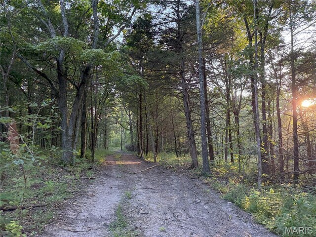 Turley Road, Plato, MO 65552 - photo 11