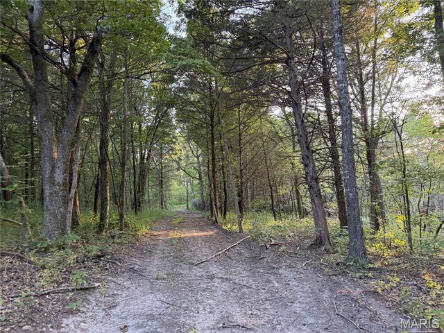 Turley Road, Plato, MO 65552 - photo 12