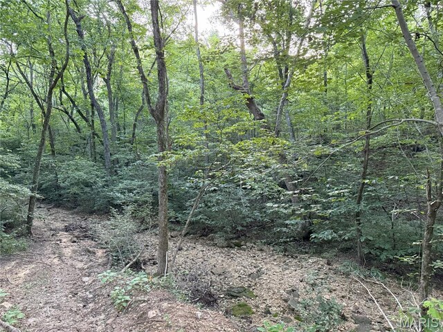 Turley Road, Plato, MO 65552 - photo 15
