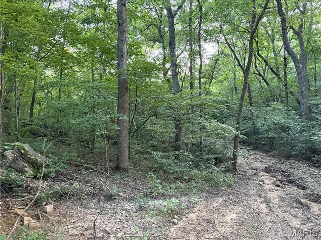 Turley Road, Plato, MO 65552 - photo 16
