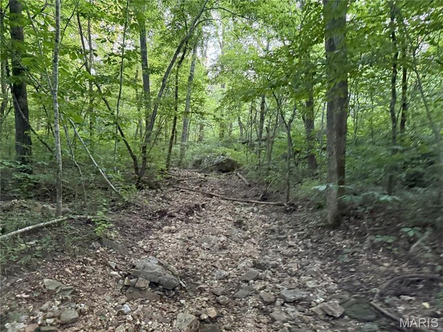 Turley Road, Plato, MO 65552 - photo 17