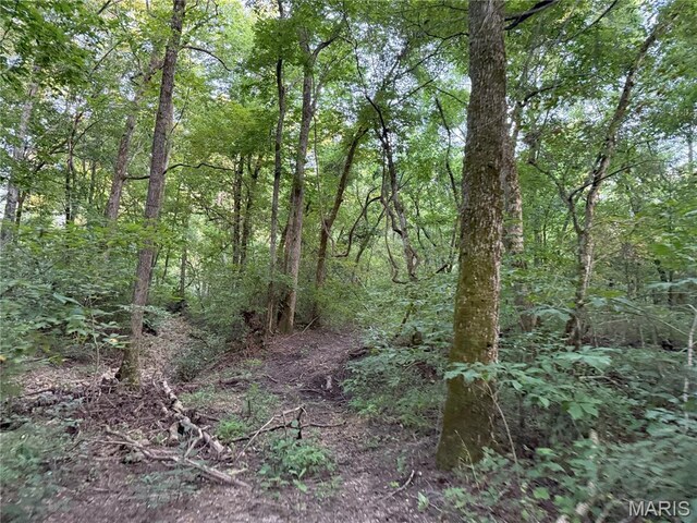Turley Road, Plato, MO 65552 - photo 19