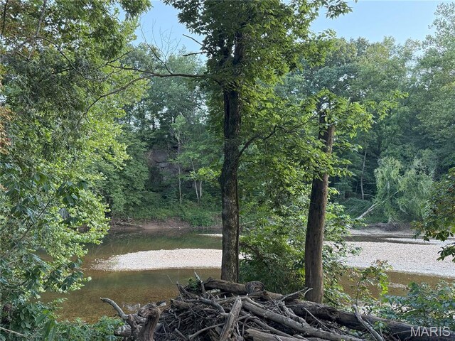 Turley Road, Plato, MO 65552 - photo 20