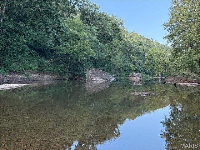 Turley Road, Plato, MO 65552 - photo 22