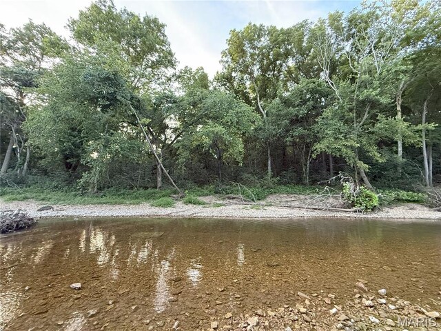 Turley Road, Plato, MO 65552 - photo 25