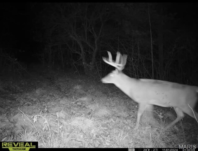 Turley Road, Plato, MO 65552 - photo 27